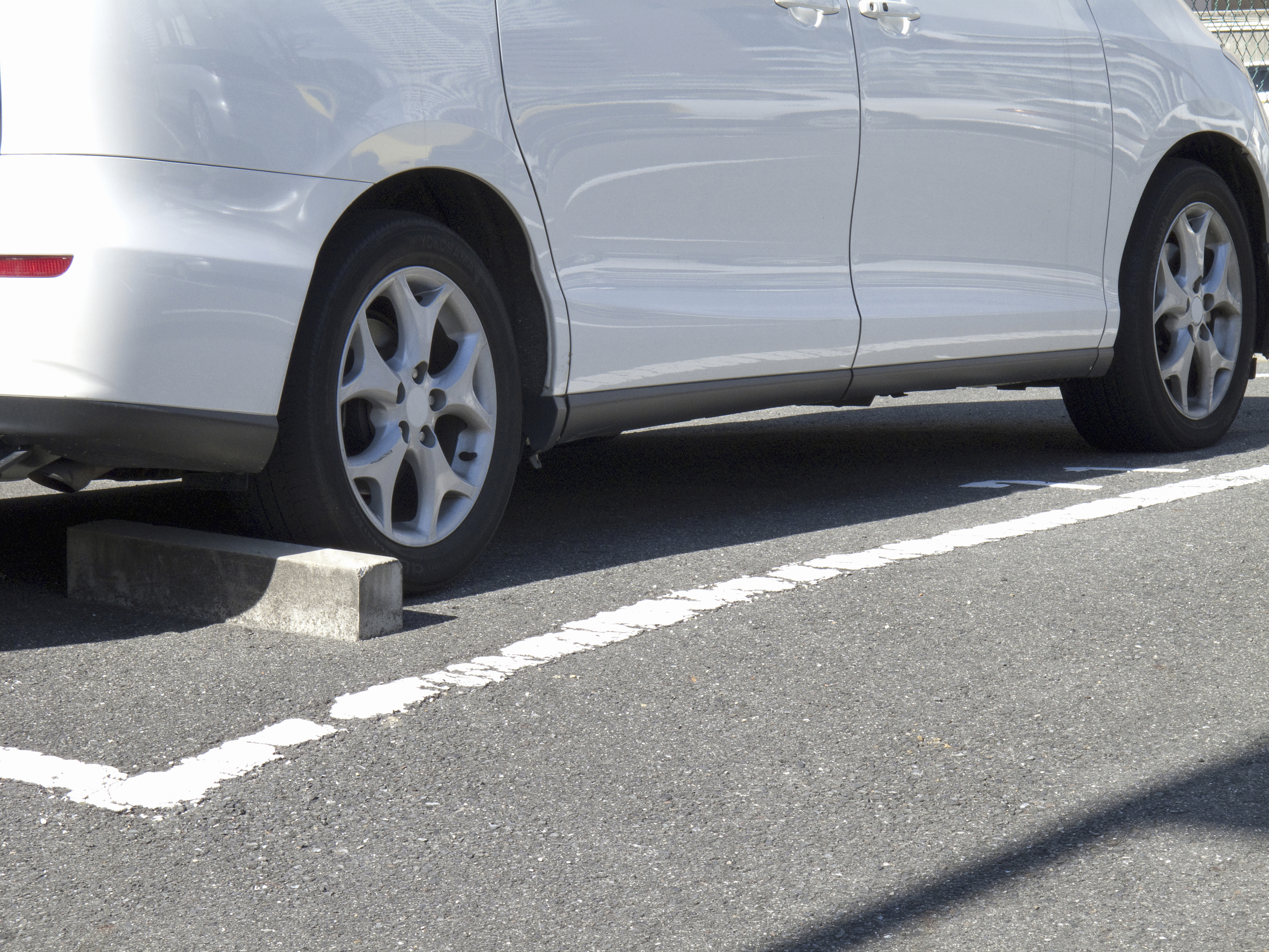 arcbloomの紹介写真_1枚目